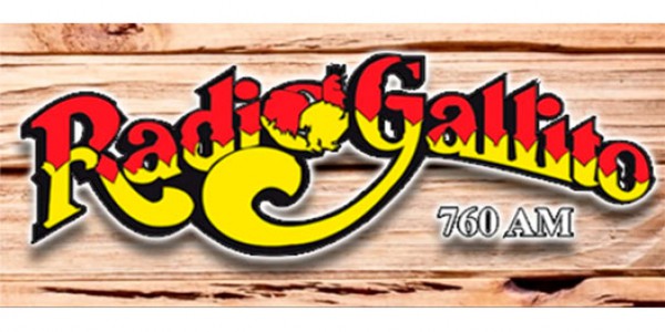  GALLITO