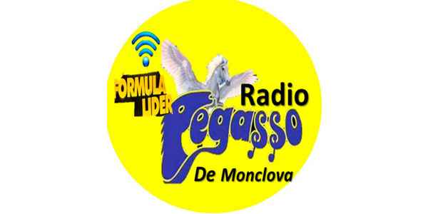  PEGASSO MONCLOVA