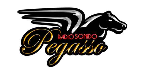  SONIDO PEGASSO
